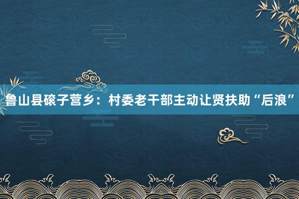 鲁山县磙子营乡：村委老干部主动让贤扶助“后浪”